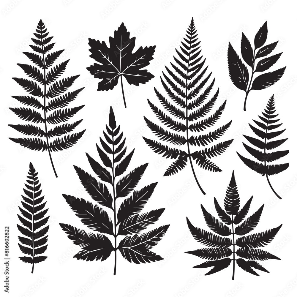 Silhouettes set of black Leaf Inked. Vector isolated illustration Silhouettes set of black Leaf Inked. Vector isolated illustration