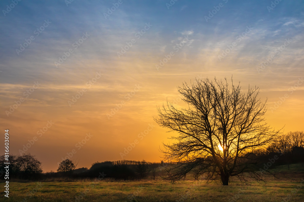 Landscape with the setting Sun behind a tree in a meadow. Picturesque sunset in the countryside in Ukraine Landscape with the setting Sun behind a tree in a meadow. Picturesque sunset in the countryside in Ukraine