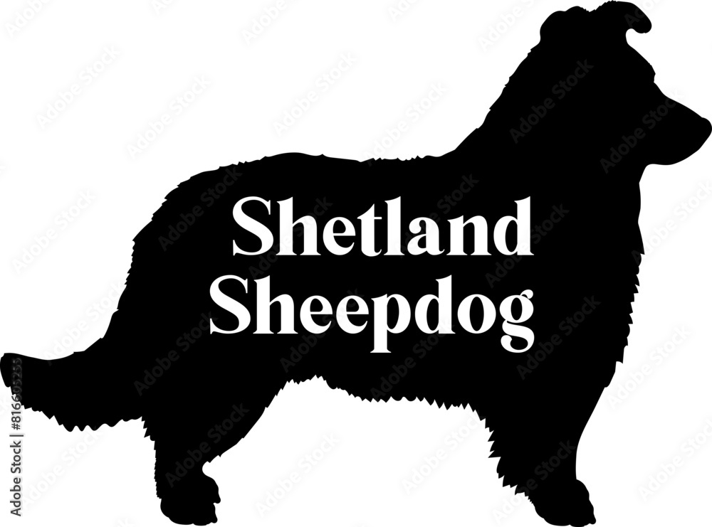 Shetland Sheepdog Dog silhouette dog breeds logo dog monogram vector Shetland Sheepdog Dog silhouette dog breeds logo dog monogram vector