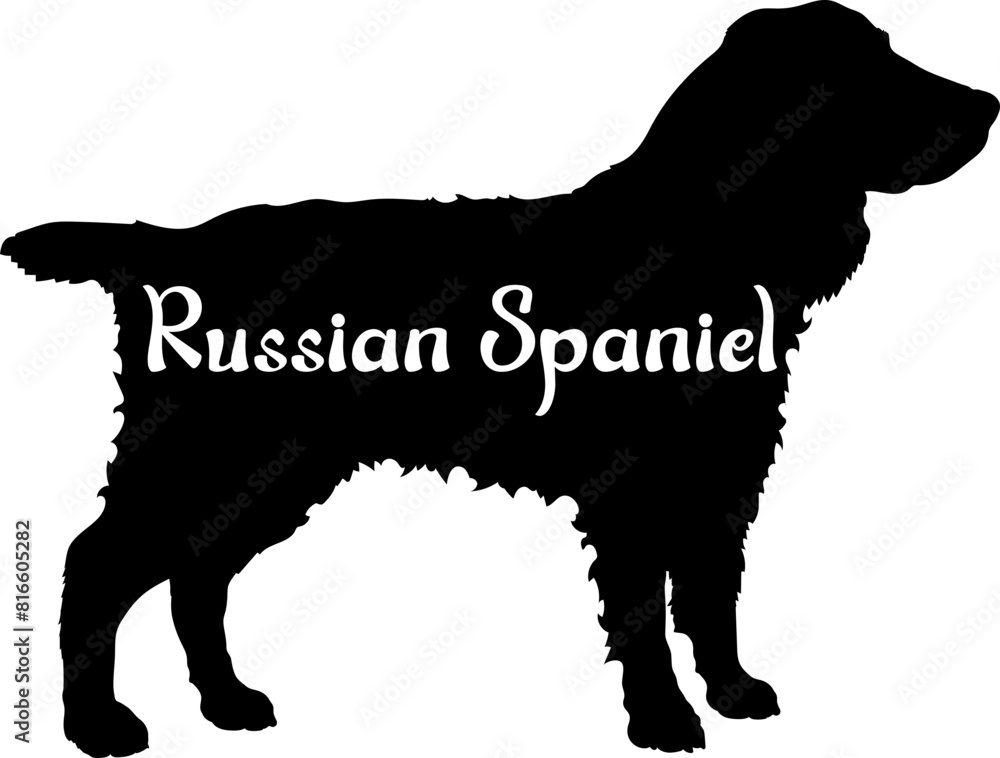 Russian Spaniel Dog silhouette dog breeds logo dog monogram vector Russian Spaniel Dog silhouette dog breeds logo dog monogram vector