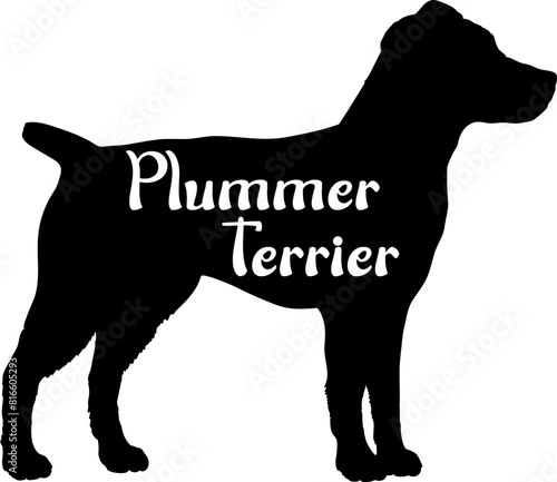 Plummer Terrier. Dog silhouette dog breeds logo dog monogram vector photo