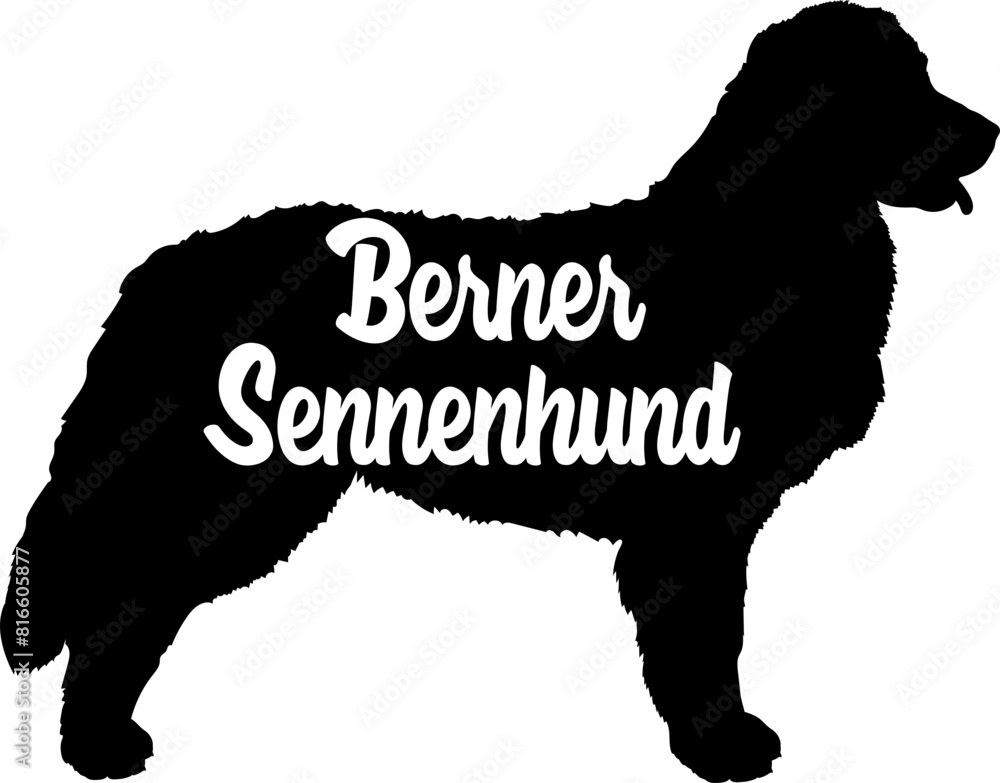 Berner Sennenhund Dog silhouette dog breeds logo dog monogram vector Berner Sennenhund Dog silhouette dog breeds logo dog monogram vector