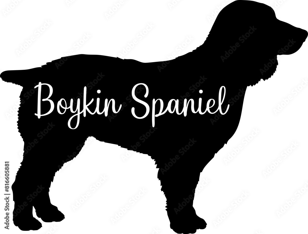 Boykin Spaniel Dog silhouette dog breeds logo dog monogram vector Boykin Spaniel Dog silhouette dog breeds logo dog monogram vector