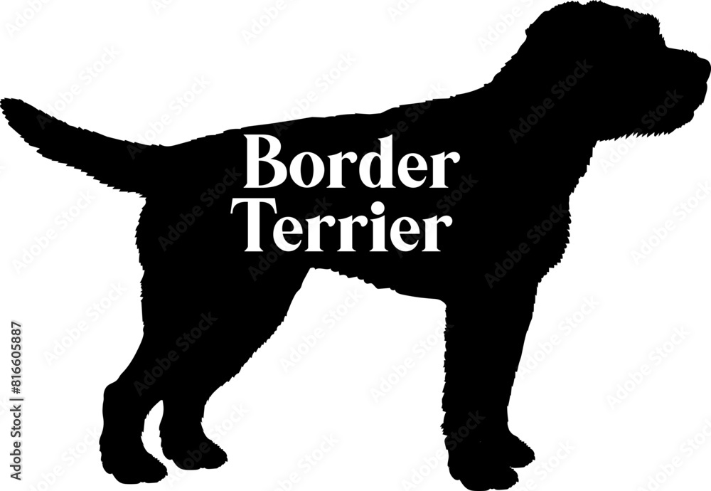 Border Terrier Dog silhouette dog breeds logo dog monogram vector Border Terrier Dog silhouette dog breeds logo dog monogram vector