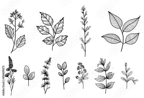 Tropical leaves and abstract exotic plan vector design elements on the white background.