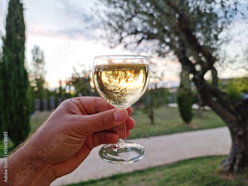 Glass of white wine in man hand and  blurred summer nature at the background. © volff