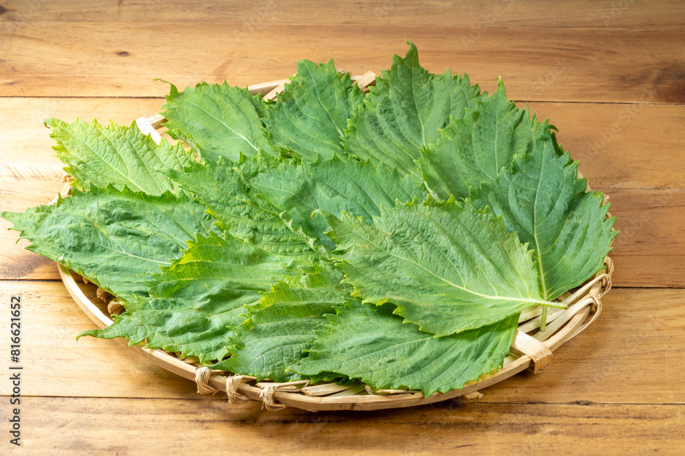 Sesame Leaf in bamboo basket on wooden Background,Korean Green Shiso Perilla Leaf on wooden table. Sesame Leaf in bamboo basket on wooden Background,Korean Green Shiso Perilla Leaf on wooden table.