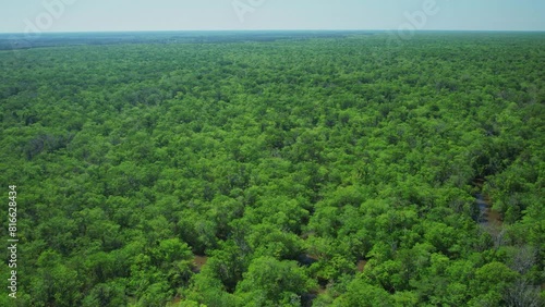 Aerial showing miles of untouched dense forests and marsh land in Florida photo