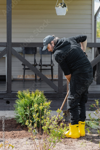 A man in the garden plants a thuja bush - creating a mixborder from garden plants photo