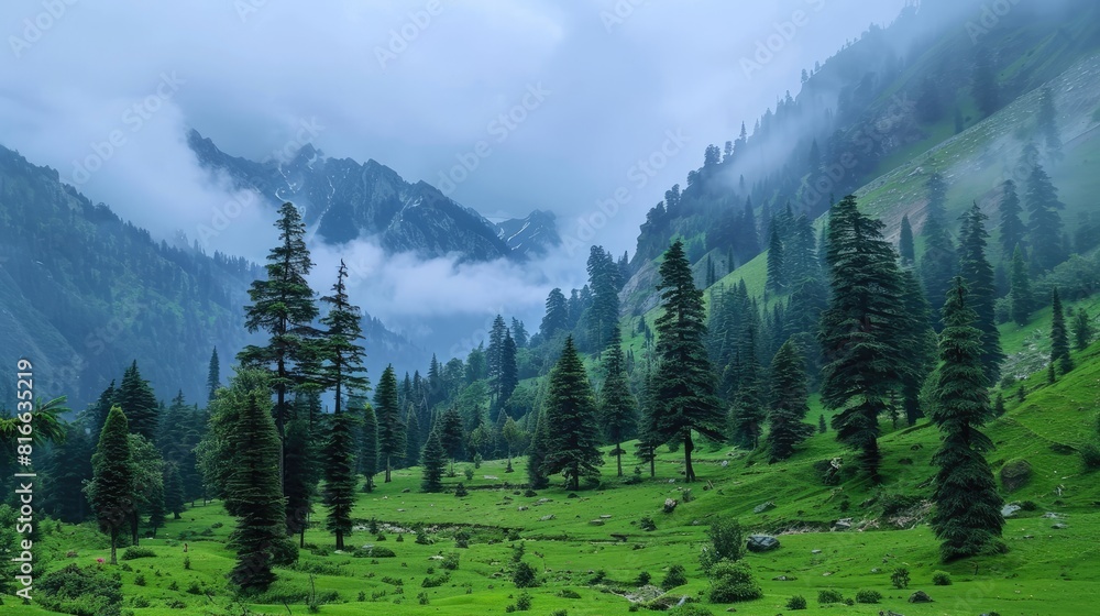 Fototapeta premium Evergreen trees dotting verdant mountains