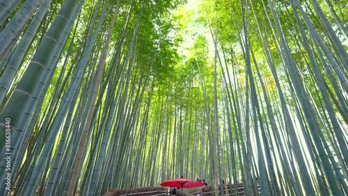 4k Slow motion video Asian woman wearing a traditional Japanese kimono at Bamboo Forest in Kyoto, Japan.