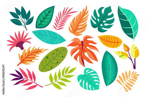Tropical different type exotic leaves set. Jungle
