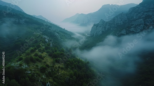 Misty  Mountain  Landscape