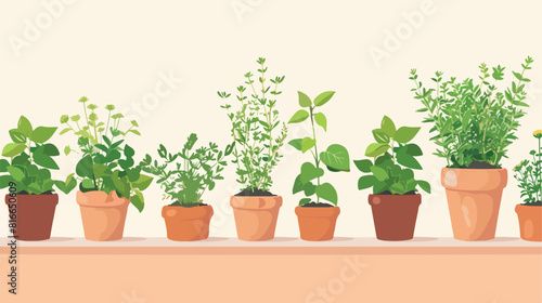 Pots with fresh aromatic herbs on table against light