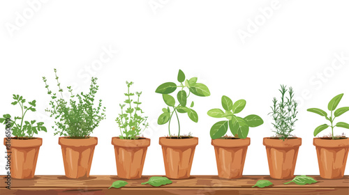 Pots with fresh aromatic herbs on wooden table agains