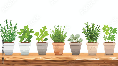 Pots with fresh aromatic herbs on wooden table agains photo