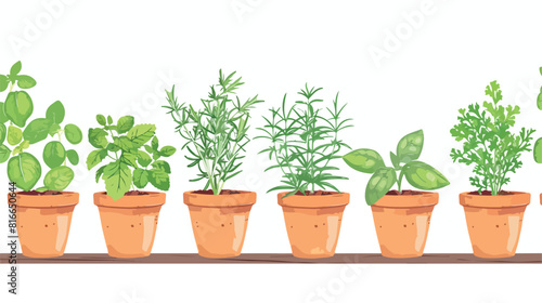 Pots with fresh aromatic herbs on wooden table agains