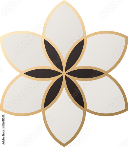 Exquisite Floral Pattern