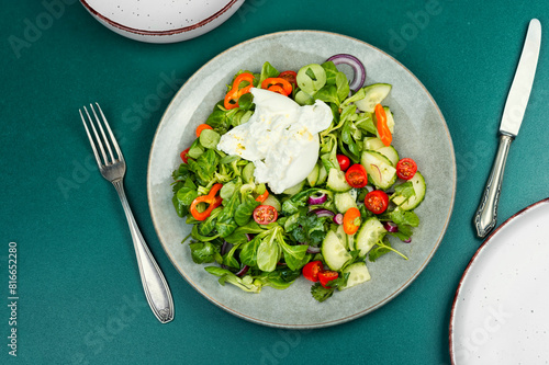 Salad of vegetables, lettuce and milk Burrata cheese.