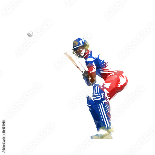 Cricket player batting, batsman, isolated geometric low poly vector illustration