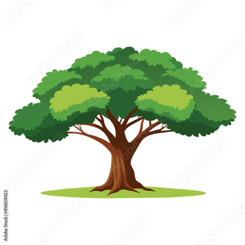 Big tree standing growth  flat vector illustration