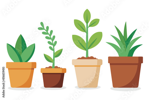 four Plants in clay pots  flat vector illustration.