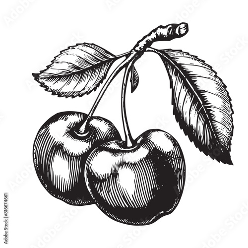 cherry inc sketch
