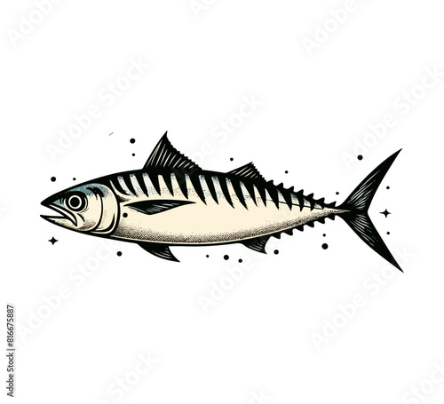 Atlantic Mackerel Fish hand drawn vector illustration photo