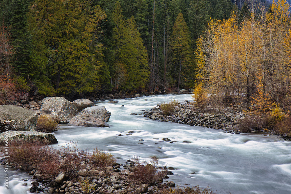 River winding through a forest in Washington State, USA, with fall foliage and rocky banks River winding through a forest in Washington State, USA, with fall foliage and rocky banks