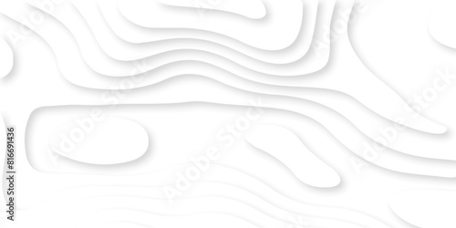 Abstract white paper cut background with lines. White wave paper curved reliefs abstract background. Realistic papercut decoration textured with wavy layers. Abstract wavy line 3d paper cut white.