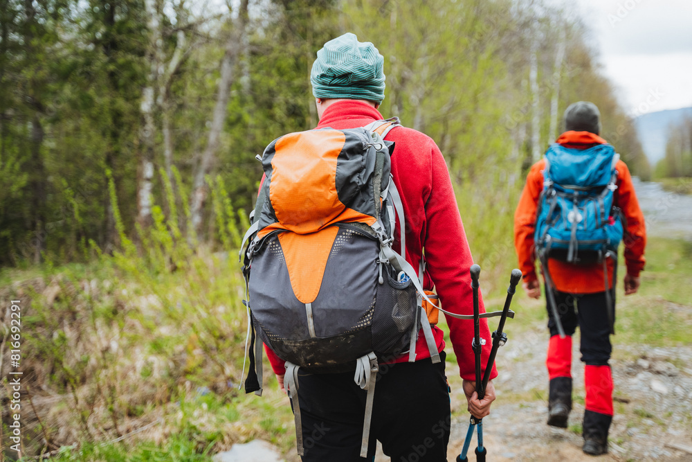 Two hikers with backpacks and poles trekking through forest path Two hikers with backpacks and poles trekking through forest path