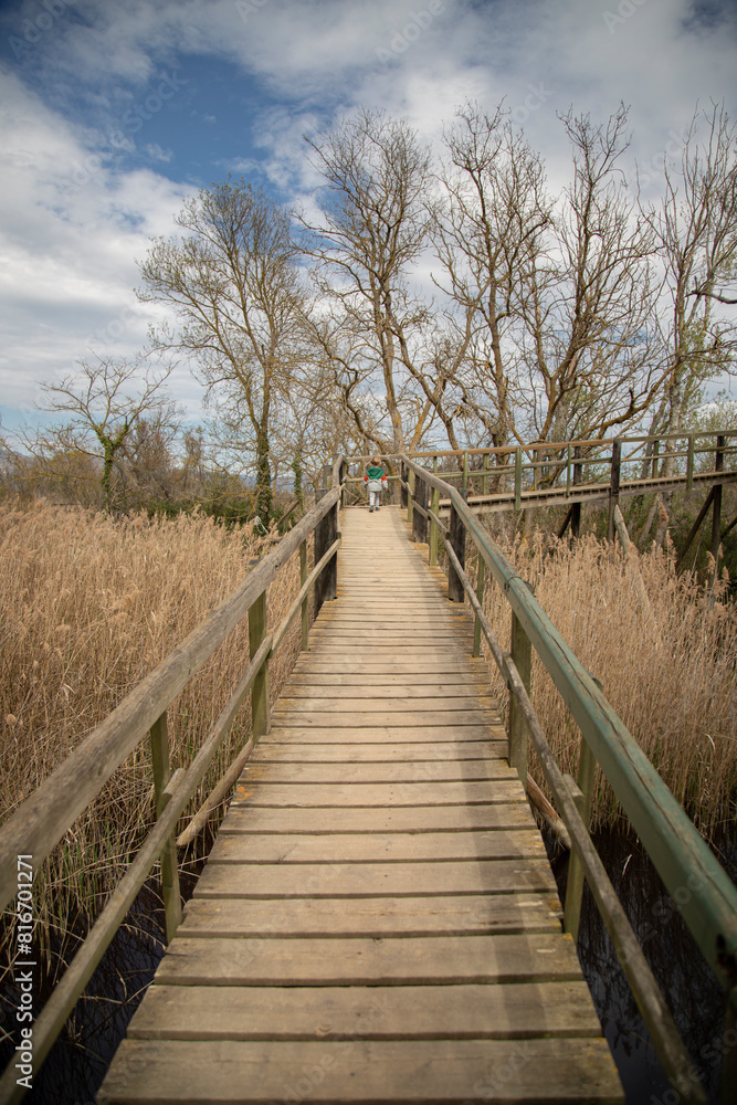 Fototapeta premium Little girl walking along a wooden pathway through a lush forest. Aiguamolls de l'Emporda, Spain