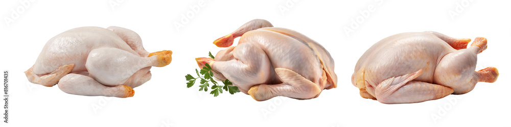 Raw Chicken Pieces Set - PNG Transparent for Fresh and Versatile Culinary Preparations