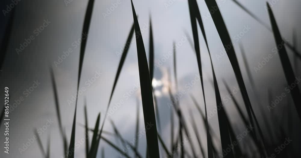 Beautiful Sunrise morning background video Beautiful Sunrise morning background video