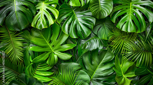 Tropical green leaves background. Flat lay, top view.