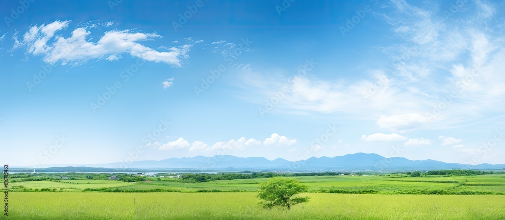A scenic view of Shonai Plain captured in a copy space image A scenic view of Shonai Plain captured in a copy space image