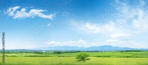 A scenic view of Shonai Plain captured in a copy space image