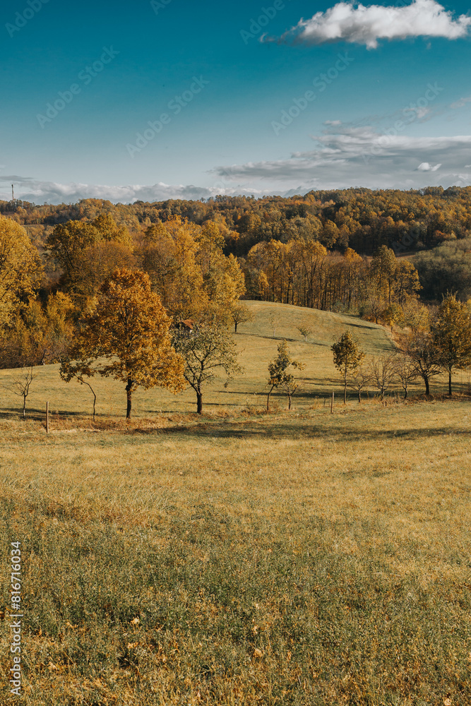 Fototapeta premium Scenic landscape featuring a grassy meadow and lush trees