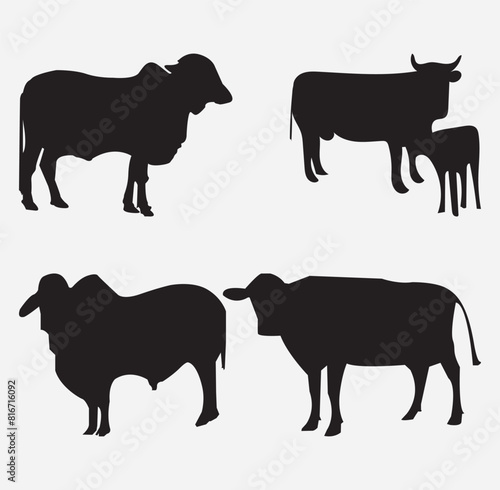 cow vector isulated on white background