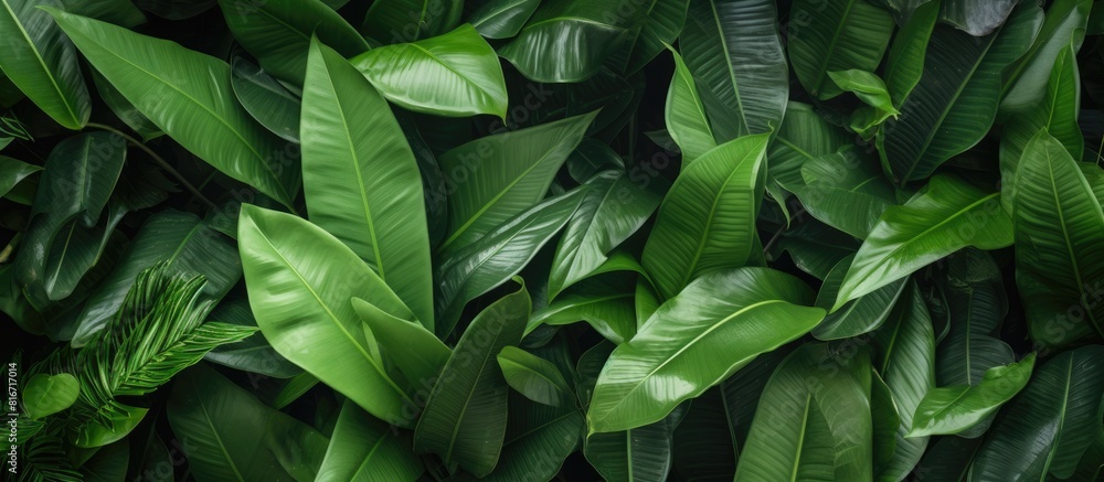 In the shop there is a copy space image of a pile of fresh tropical green leaves In the shop there is a copy space image of a pile of fresh tropical green leaves