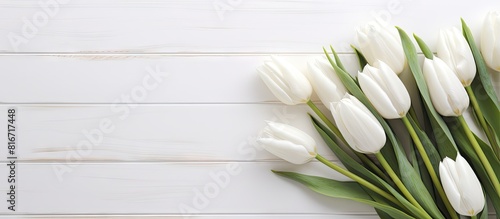 White tulips set against a white wooden backdrop leaving room for a copy space image #816717448