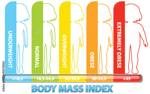 Visual representation of BMI categories