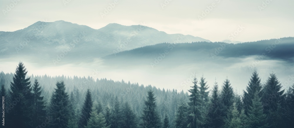 Vintage retro hipster style mountain landscape with a misty foggy atmosphere featuring a lush fir forest and ample copy space image