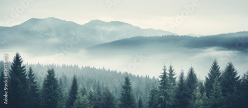 Vintage retro hipster style mountain landscape with a misty foggy atmosphere featuring a lush fir forest and ample copy space image © vxnaghiyev
