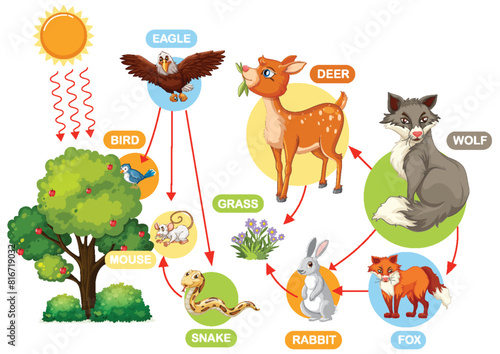 Depicts animals and their food sources