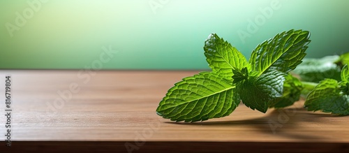 On the wooden table there is a single green mint leaf resting offering an appealing copy space image photo