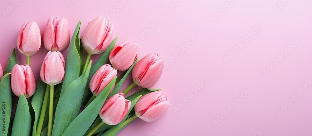 A stunning copy space image of a bouquet of vibrant pink tulips perfect for Mother s Day or Women s Day A stunning copy space image of a bouquet of vibrant pink tulips perfect for Mother s Day or Women s Day