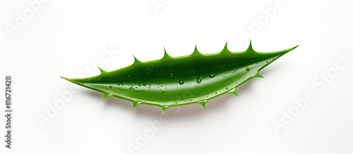 Top view of a fresh aloe ve...