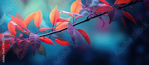 A vibrant copy space image of garden foliage featuring a close up of leaves on a branch