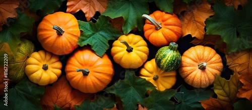 A copy space image showcasing the arrangement of green and orange pumpkins beautifully positioned on a bed of vibrant damp autumn oak leaves